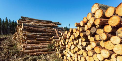 Kraftig ökning av virkesimporten
