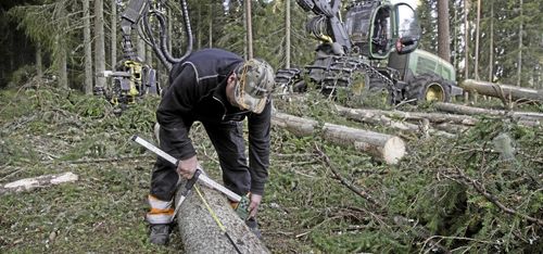 Så effektiviserar Södra inköpen