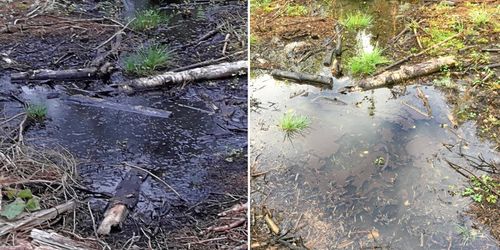 Dissoil har fått flera stora prestigekunder