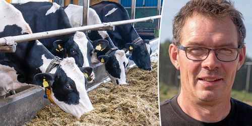 Arlabönder: Nya höjningen bra – men för låg