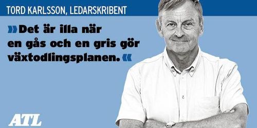 Ökande viltskador kräver åtgärder