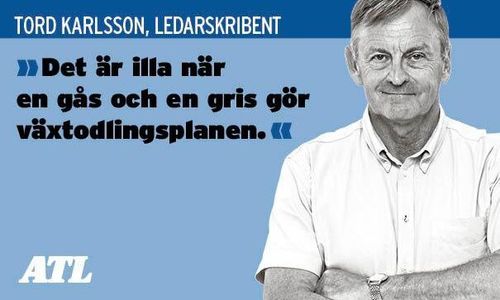 Ökande viltskador kräver åtgärder
