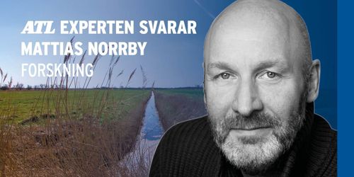 Hur lyckas med avvänjning utan zinkoxid?