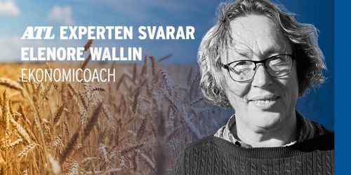 ”Lagring bra val – om du klarar kassaflödet”