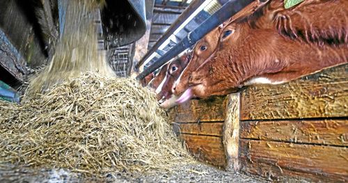 Ja till skörd i skyddszoner