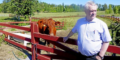 Torkan tar Bucht till riksdagen