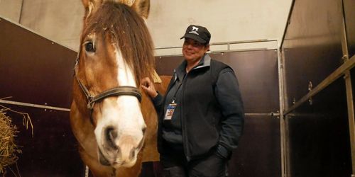 Ardennern Peggy poppis på Friends Arena
