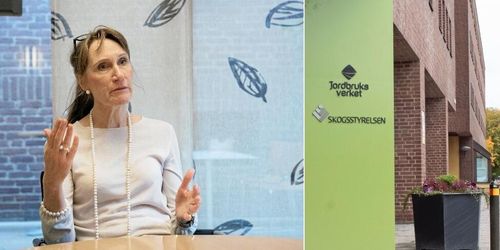 Förslag: Kraftigt slimmat landsbygdsprogram