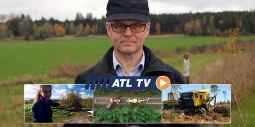 ATL TV: Sju av tio plantor hamnar rätt