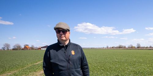 Ersättningar för grödskador har ökat – med 400 procent