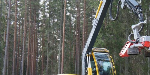Står still i väntan på vinter