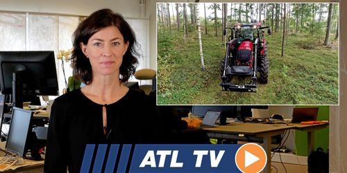 ATL TV: Vi testar storsäljaren i skogen