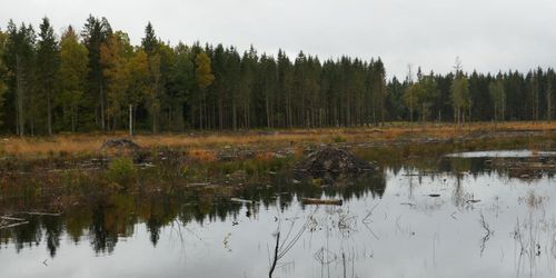 Klimatskatt kan öka jordbrukarnas inkomster