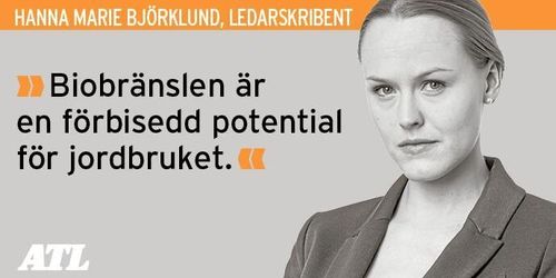 Jordbruket kan göra affär på biobränsle