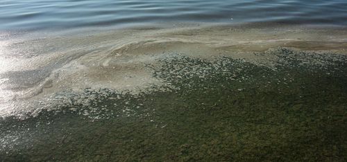 Nya åtgärder mot övergödning ska utredas