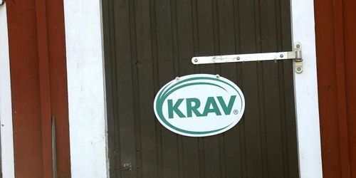 Kravodlare måste beräkna sin klimatpåverkan