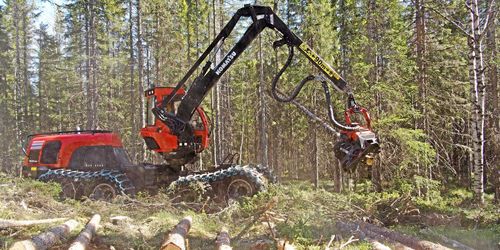 Fler ville avverka under juni och juli