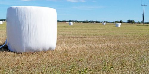 Mjölk- och köttproduktionen allvarligt hotad