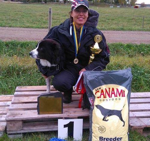 Marie Söderbom vann SM i nötvallning i helgen med i sin bordercollie Västerängs Hugo.