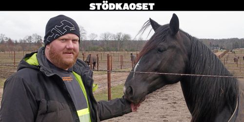 Försenat stöd hotar hans företags existens