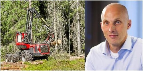 Mellanskog bäst i Sverige på jämställdhet