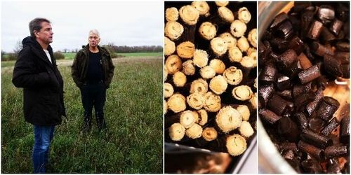 Här ska det odlas lakrits på åtta hektar