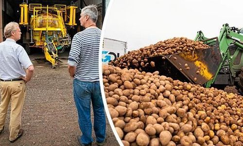 Vad är bäst: Hyra eller köpa maskin?