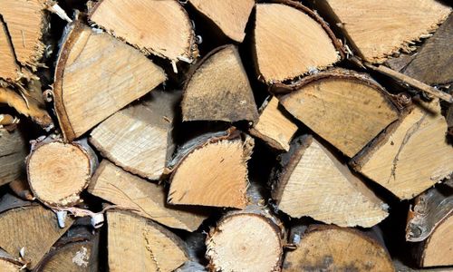 Högg ved i nyckelbiotop - döms till böter