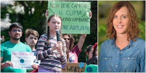 Det står mellan att bruka skogen bättre – eller misslyckas