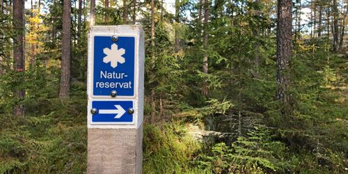 LRF: Sverige rapporterar skyddad natur för strikt