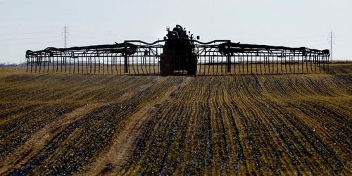 Underskott av fosfor i många fält