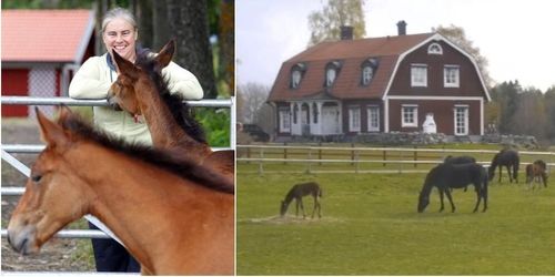 Följ livet i fölhagen på Skråmsta