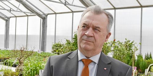 Blandade reaktioner på Capförslag från politiker