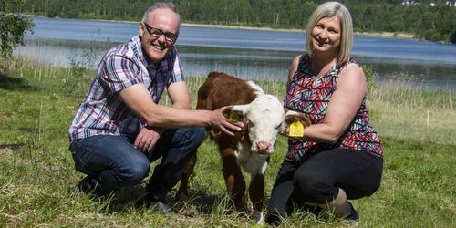 Så blev köttlådor en succé för familjen Eriksson