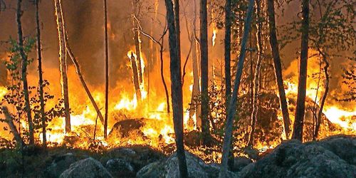 Vinden gav skogsbranden ny fart