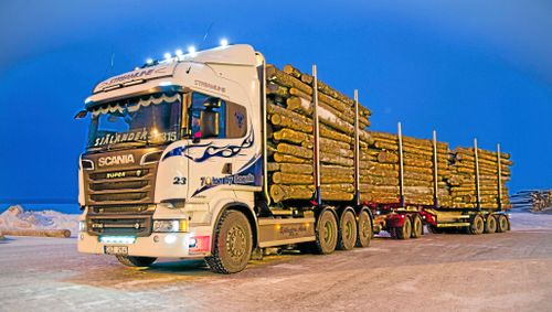 Såväl vägar som bilar måste klara tyngden