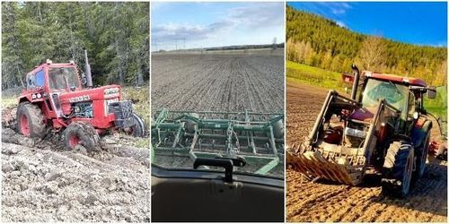 ATL-följarnas bästa bilder från vårbruket