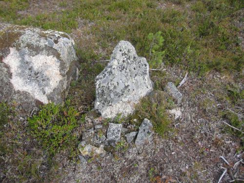 Allmänningens arbete ger klara gränser i Arvidsjaur