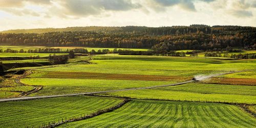 ”Landsbygden och bönderna är Sveriges ryggrad”