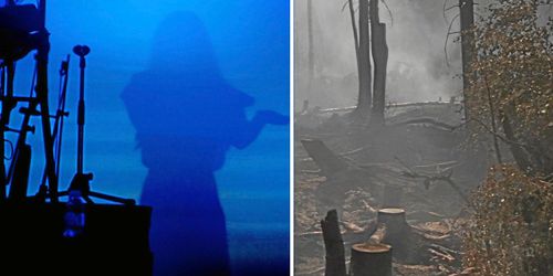 Artister vill spela in pengar till drabbade skogsägare