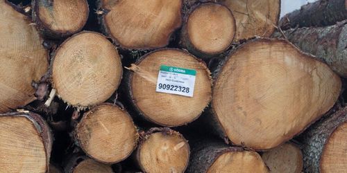 Stort tapp för Södra