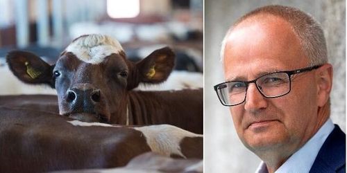 LRF-företrädare tar time-out