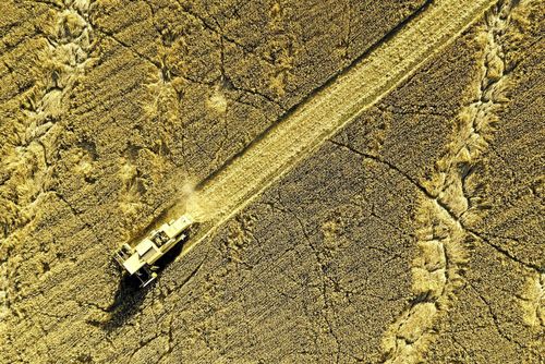 Havrelass överskrider DON-värde