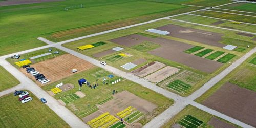 Mässgeneralen avslöjar planen för Borgeby