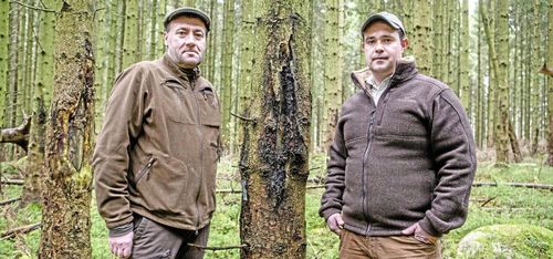 Omtvistad metod skyddar storgodsets skog