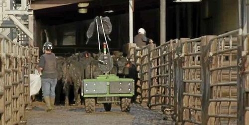 Här är roboten som tar över det farliga cowboyjobbet