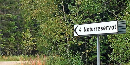 Svårt att prioritera i naturvården