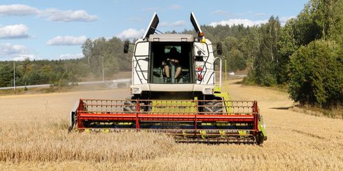 Spannmålsskörden kan bli den lägsta på decennier
