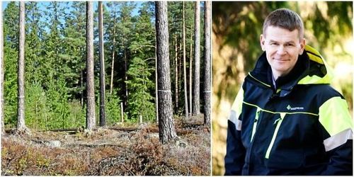 Långt kvar till en jämställd skogssektor