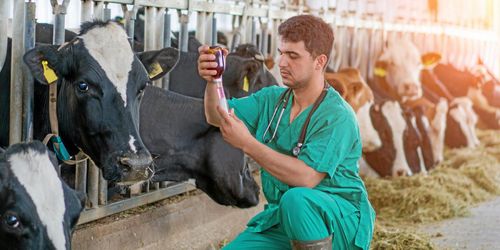 ”Bristen på veterinärer är oroande”